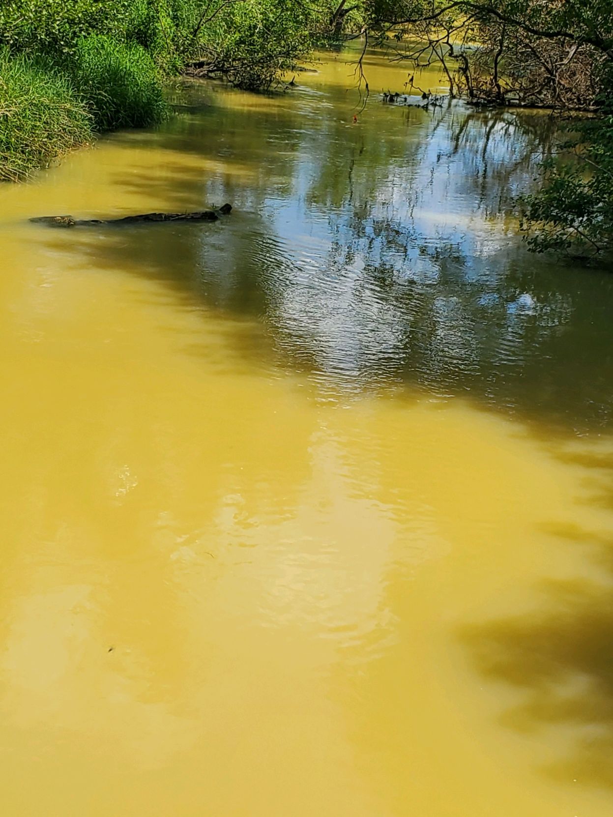 Trempealeau River